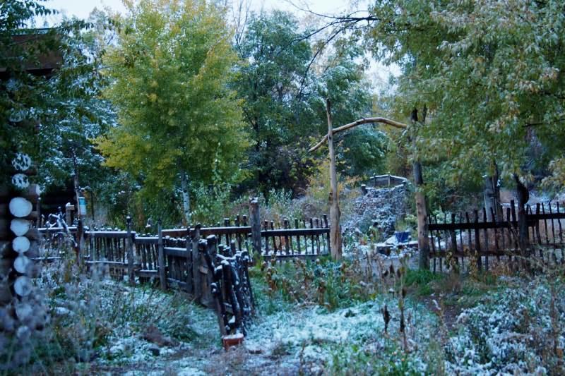 Taos Goji Farm & Eco-Lodge Retreat Arroyo Seco Zewnętrze zdjęcie
