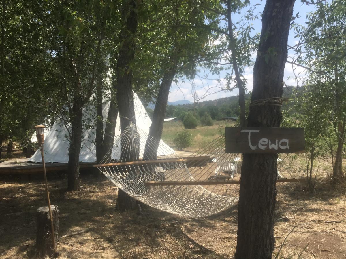 Taos Goji Farm & Eco-Lodge Retreat Arroyo Seco Zewnętrze zdjęcie